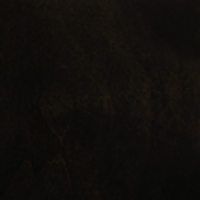 a_16
