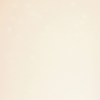 p_03
