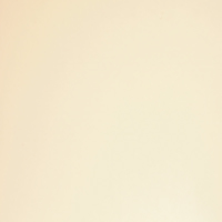 p_06